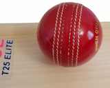 MCL Cricket Leather Ball